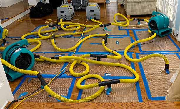 Professional Basement Flood Cleanup technician working in Rancho Mirage, CA